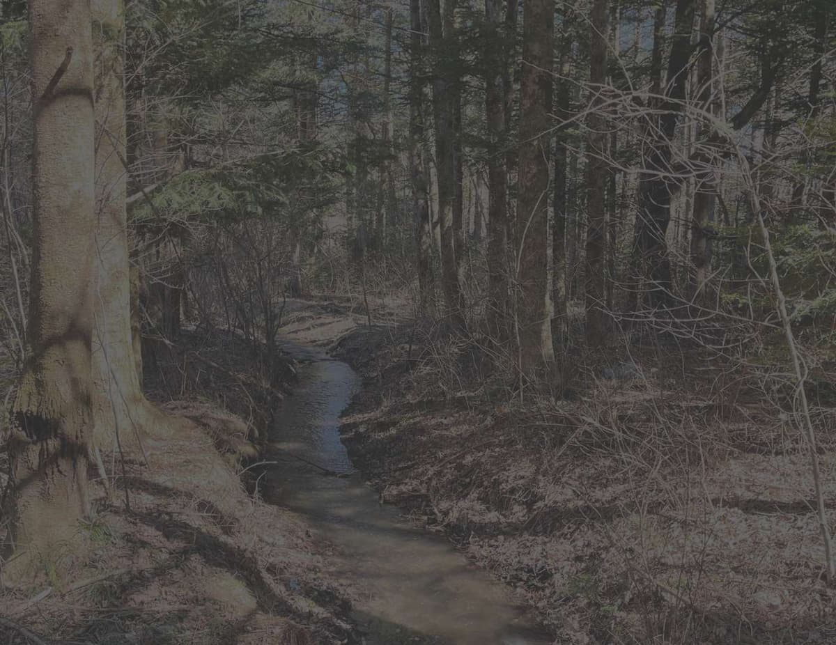 SAUNATURE オフィス・ショールーム
